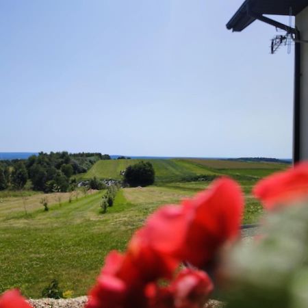 Agroturystyka Zdolina Krajno Pierwsze エクステリア 写真
